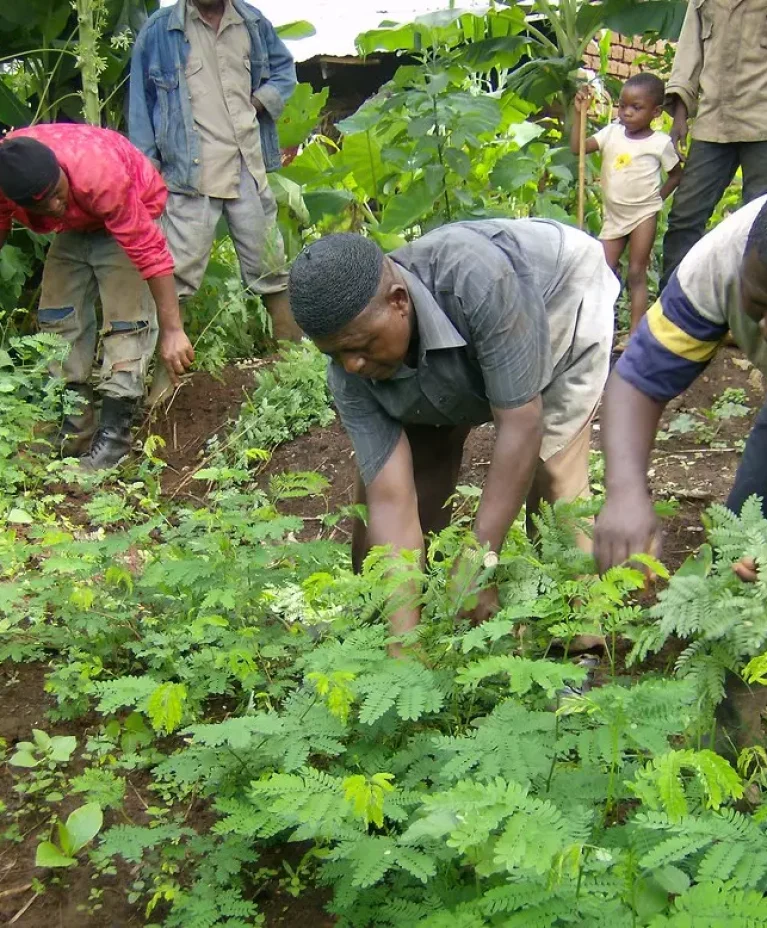 AnyConv.com__benkuma 125